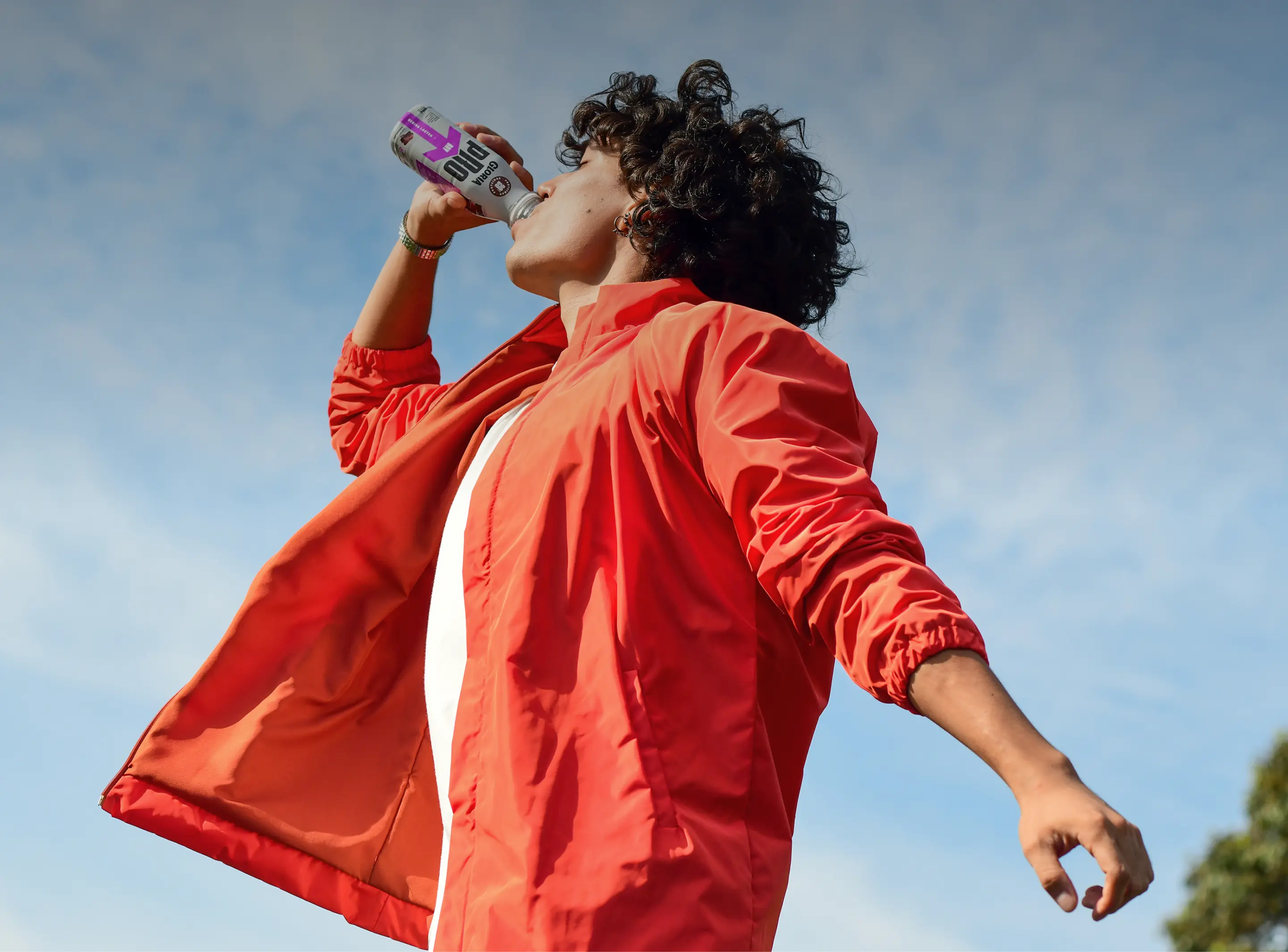 ProDay Bebida Láctea Sabor Vainilla